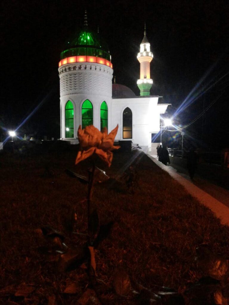 17982784516575086209